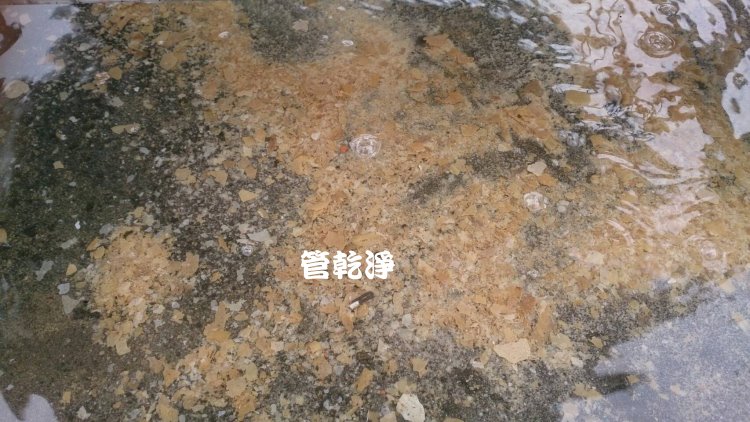 熱水忽冷忽熱,清洗水管,水管清洗,洗水管,水管清潔